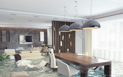 Few Reasons Why You Must Act Quickly After Water Damage