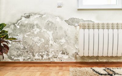 Step-by-Step Guide For Water Damage Restoration