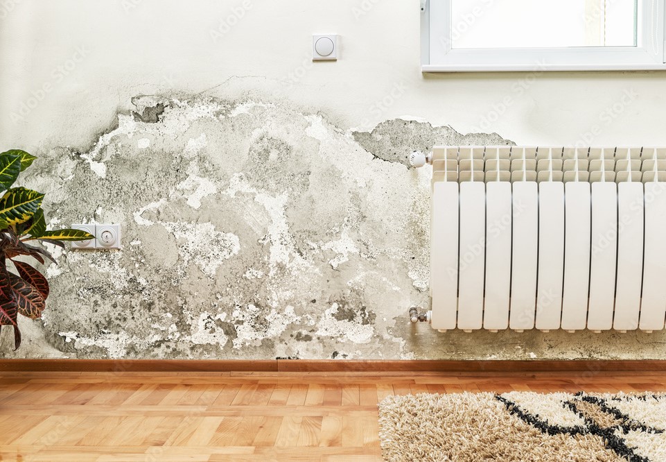 Step-by-Step Guide For Water Damage Restoration