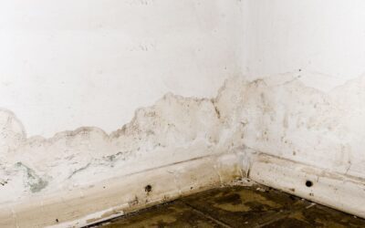 Top 8 Causes of Water Damage in Houston Homes