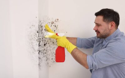 The Ultimate Guide to Mold Remediation in Houston: Signs, Costs & How to Protect Your Home