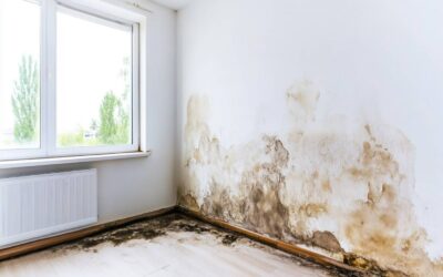 Does Water Damage Always Lead to Mold in Houston Homes?