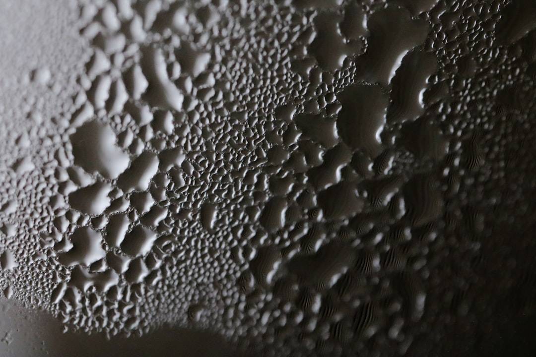 Commercial Mold Remediation Results before