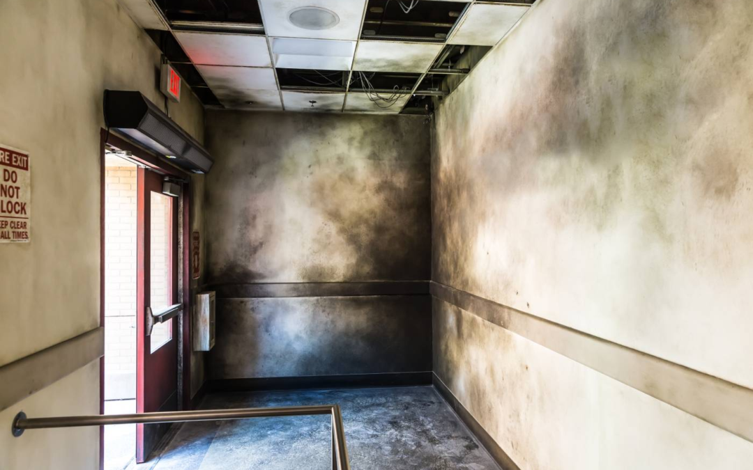 Fire and Smoke Damage Cleanup in Cypress