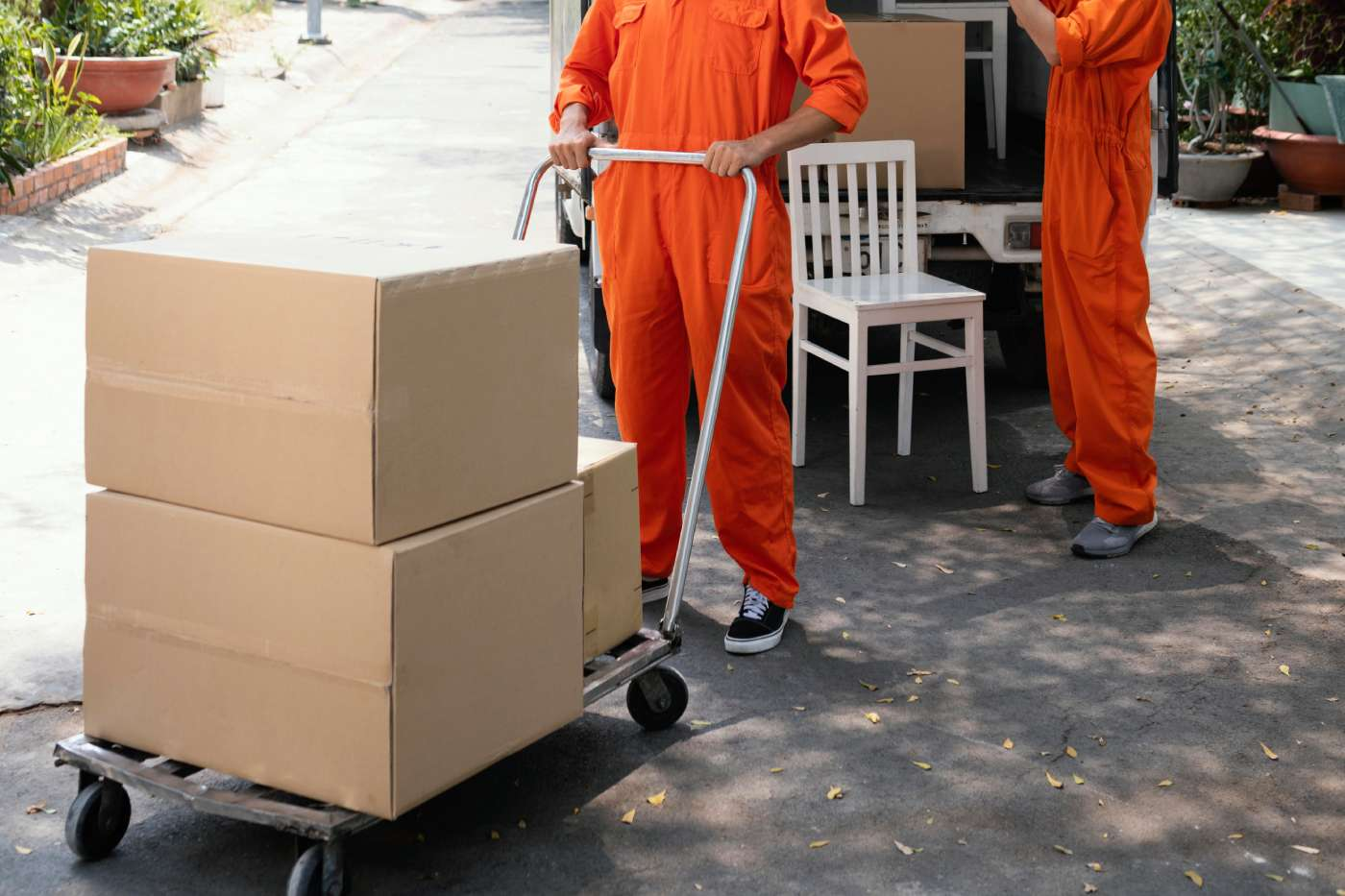 Pack-Out-Service
