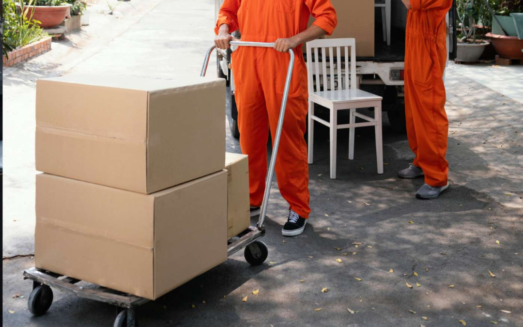 Pack-Out vs Pack-Back Services: What’s the Difference?